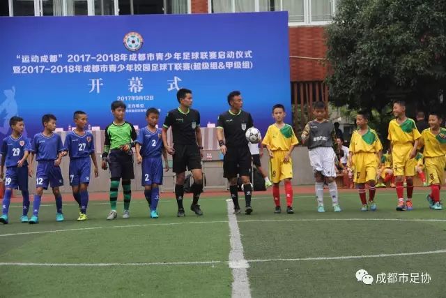 U20男排欧锦赛法国夺魁 法国男子排球赛季大满贯